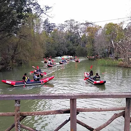 Termas Da Curia 3*