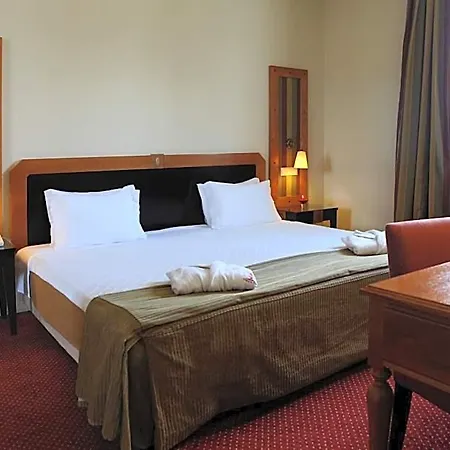 Termas Da Curia Hotel